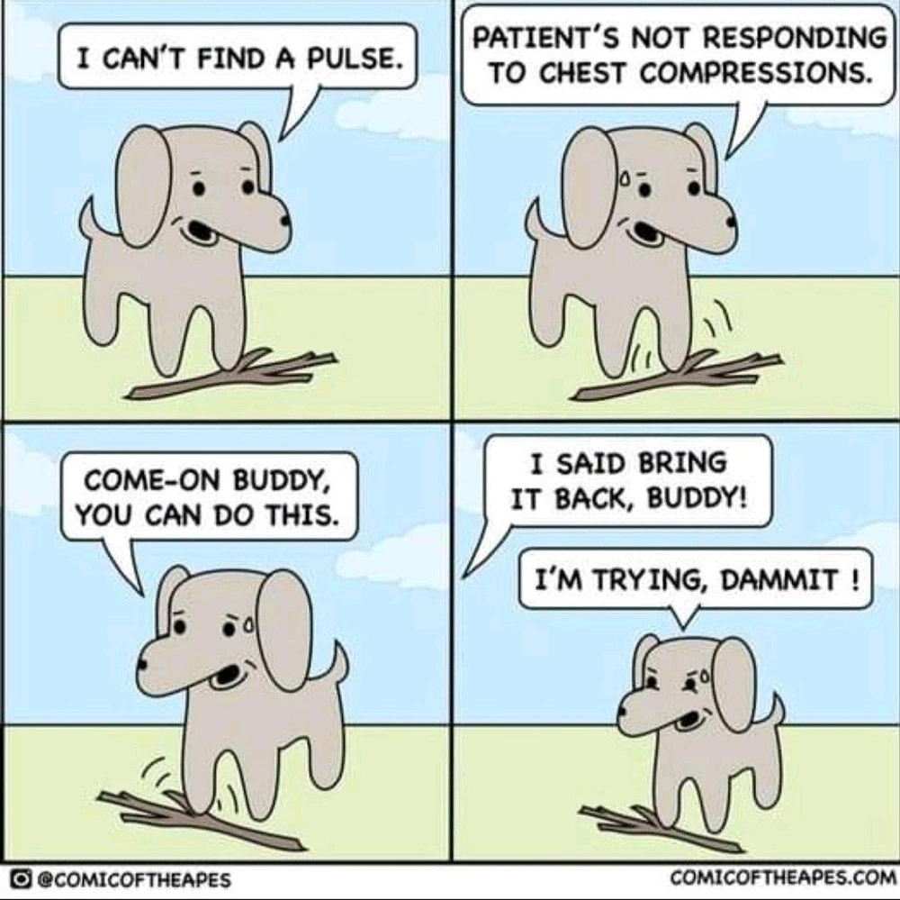 GIF uploaded by Danielle