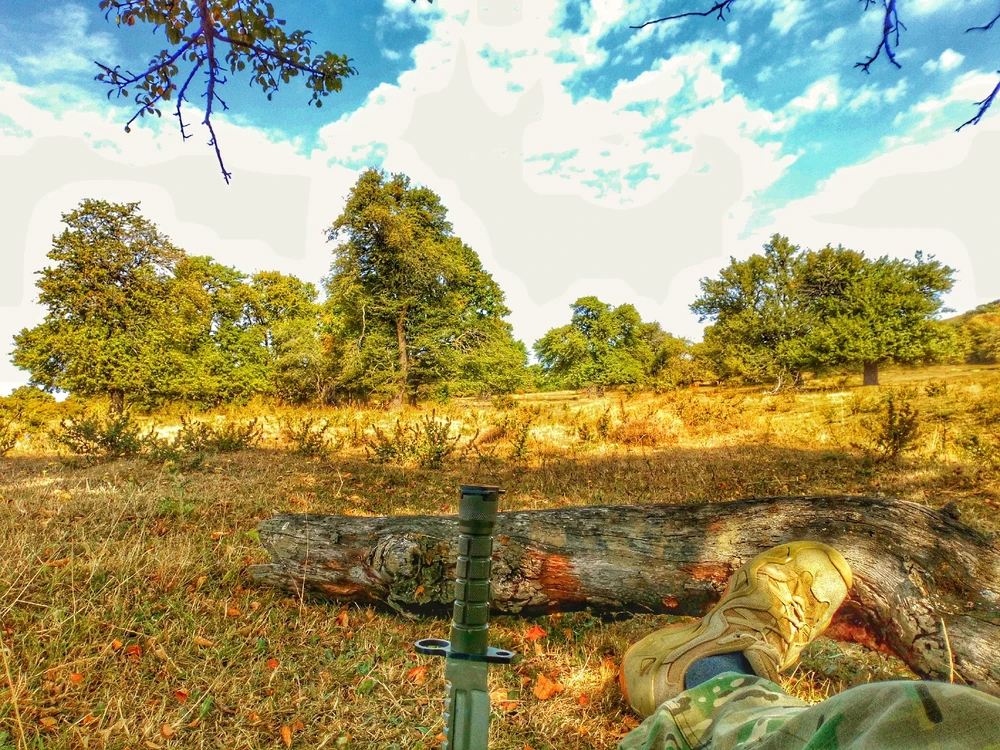 GIF uploaded by Nodari