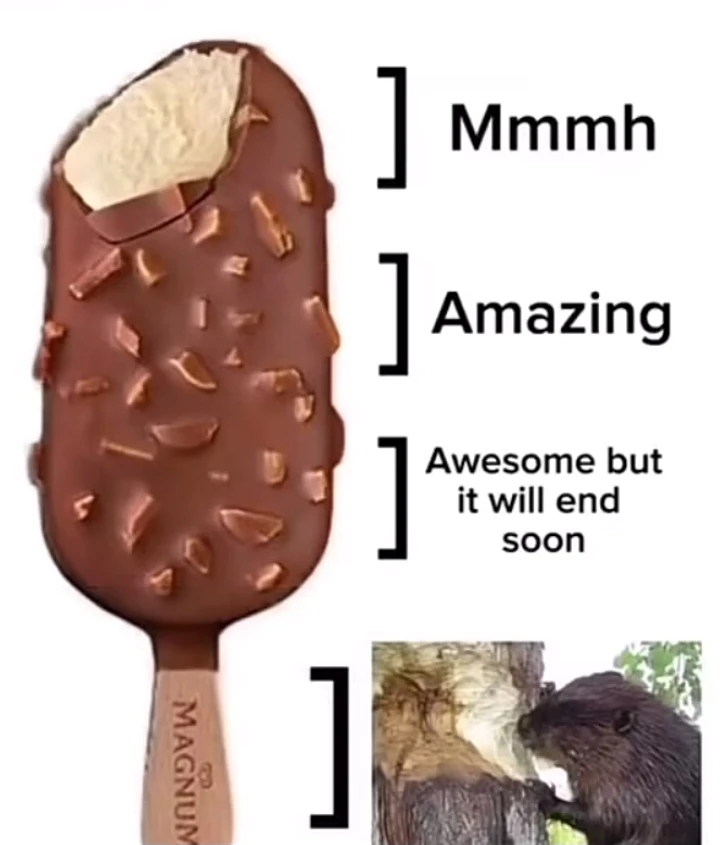 Image uploaded by Neko🐾