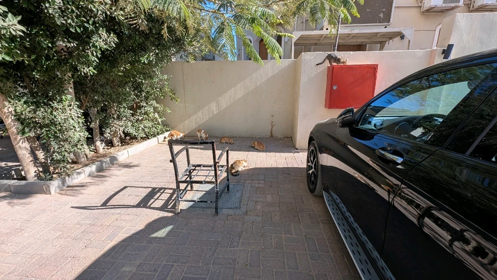 GIF uploaded by Hussein