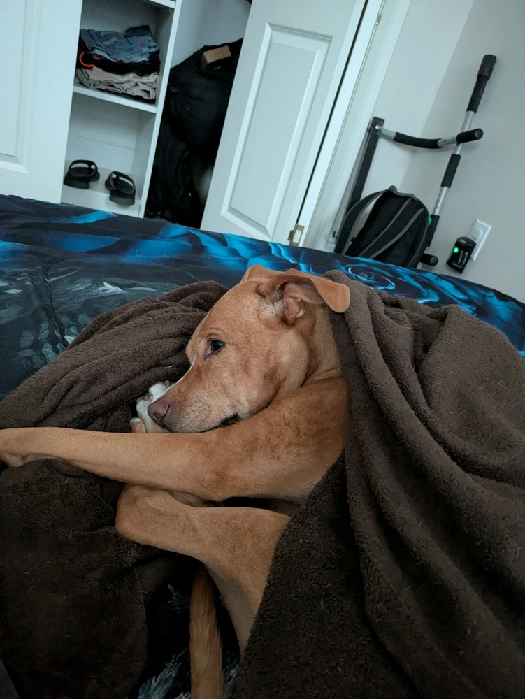 Image uploaded by Keith