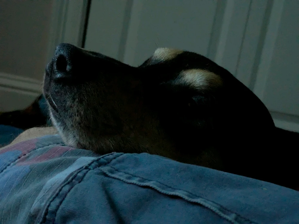 Image uploaded by Keith