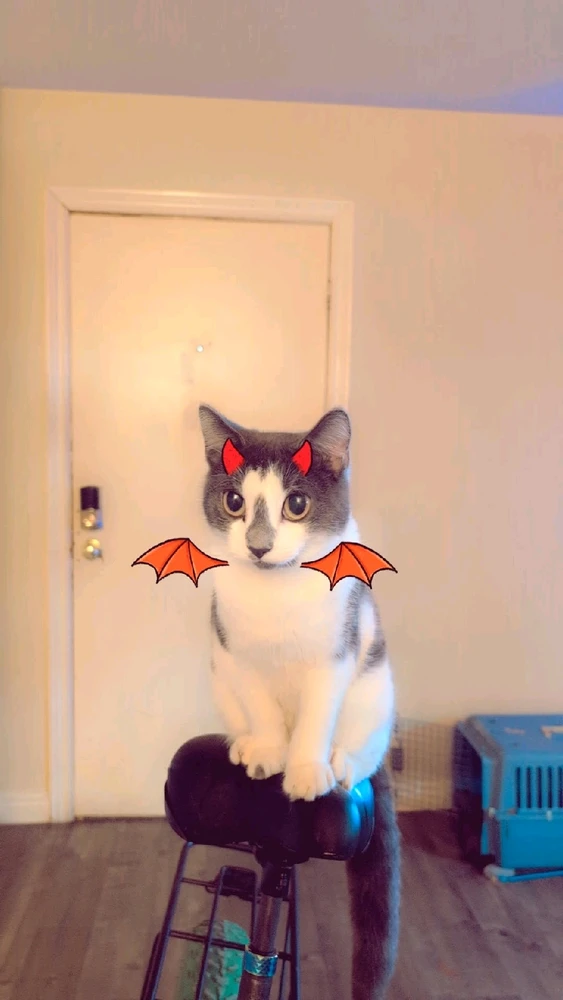 Image uploaded by Alex