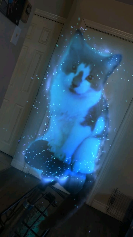 Image uploaded by Alex