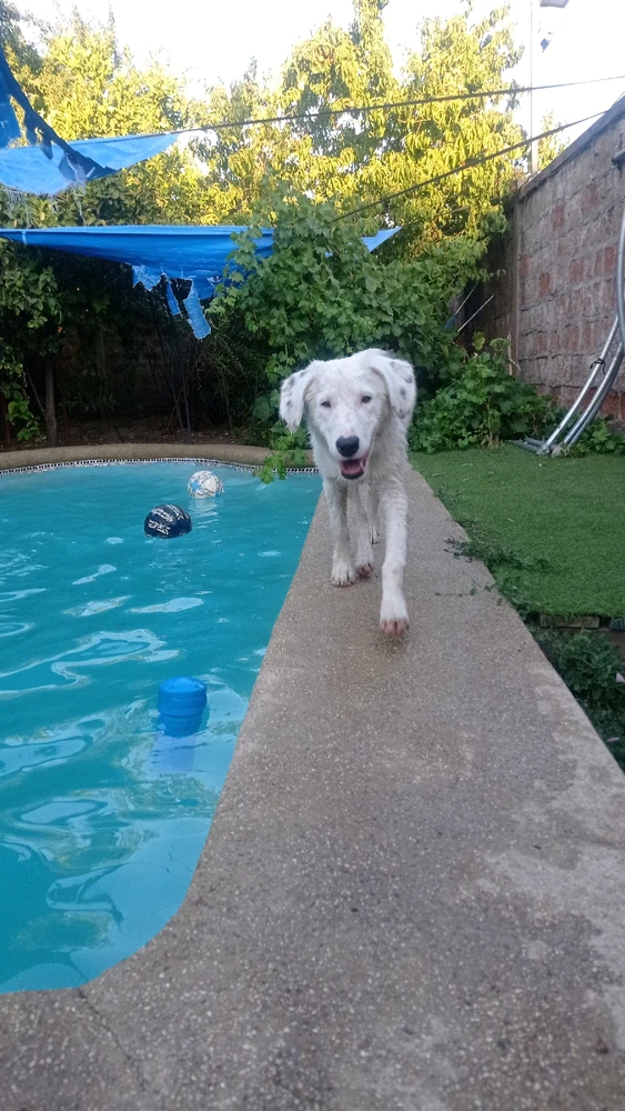 Imagen subida por Angel