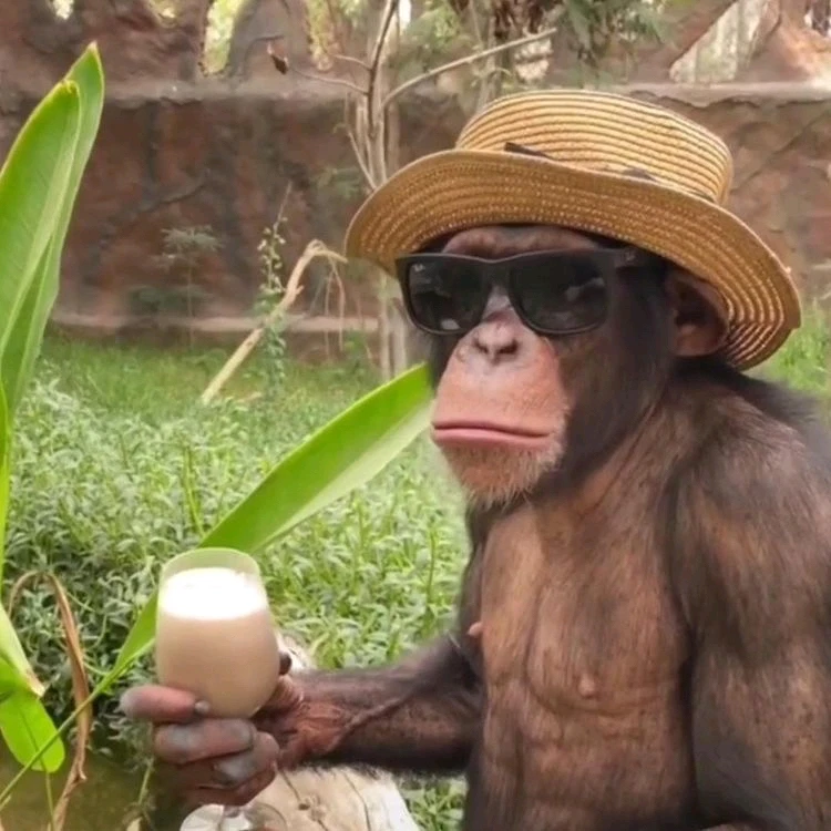 Imagen subida por Angel