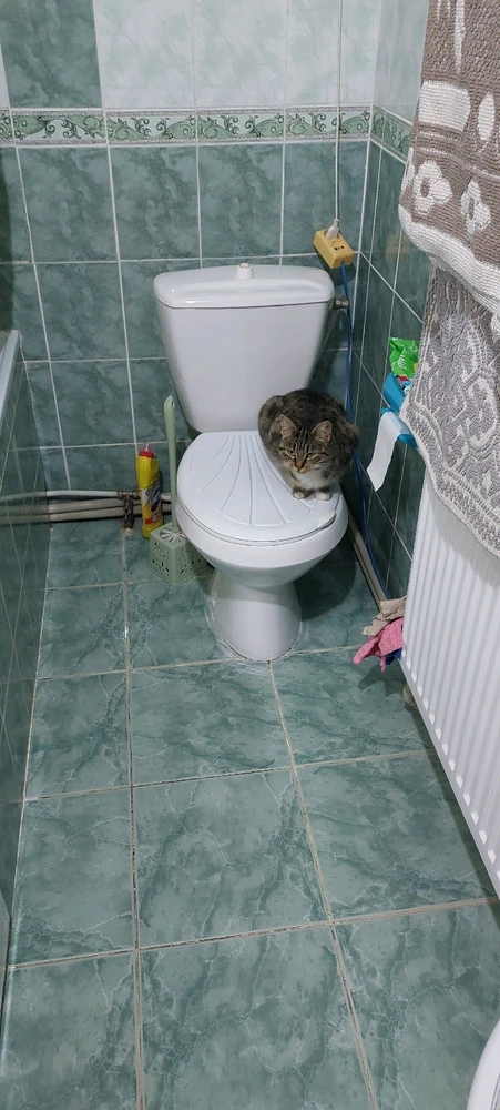 GIF uploaded by Alex