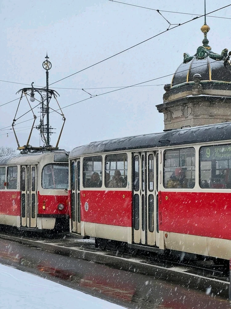 Image uploaded by Dave Umang