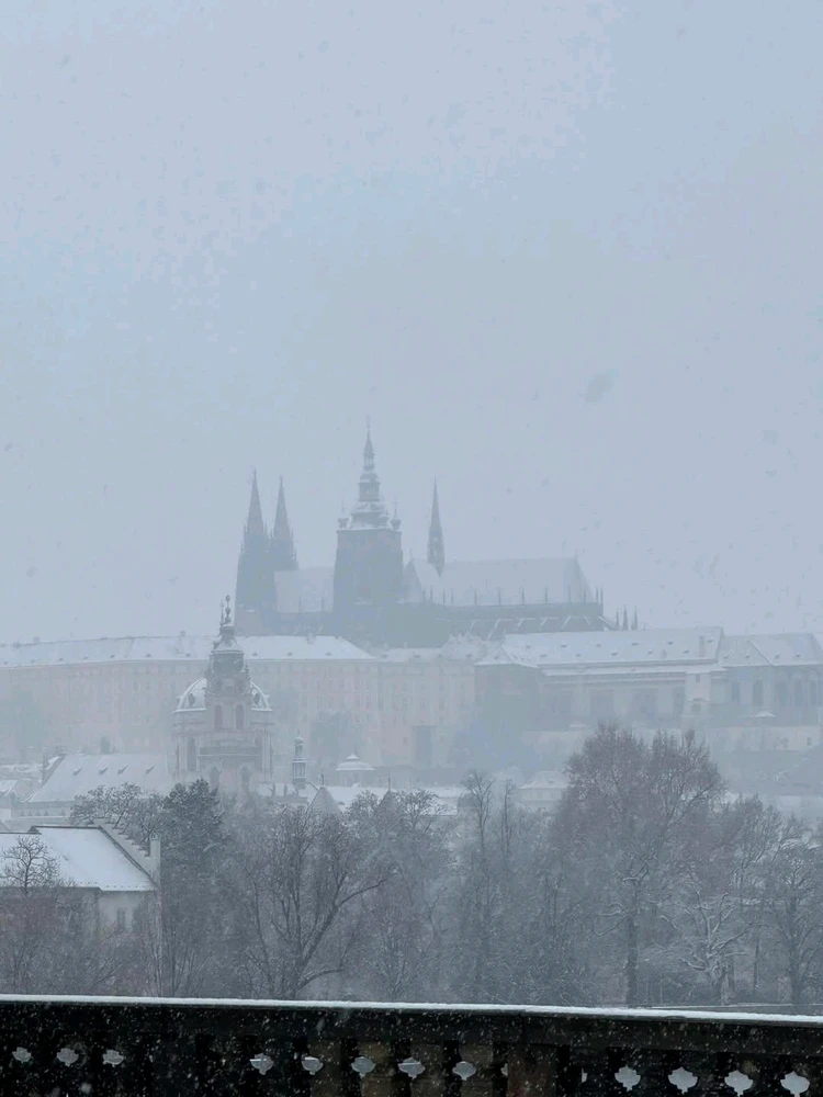 Image uploaded by Dave Umang