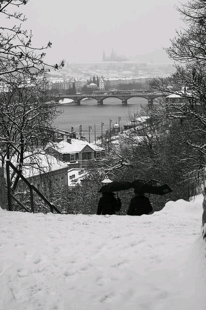 Image uploaded by Dave Umang