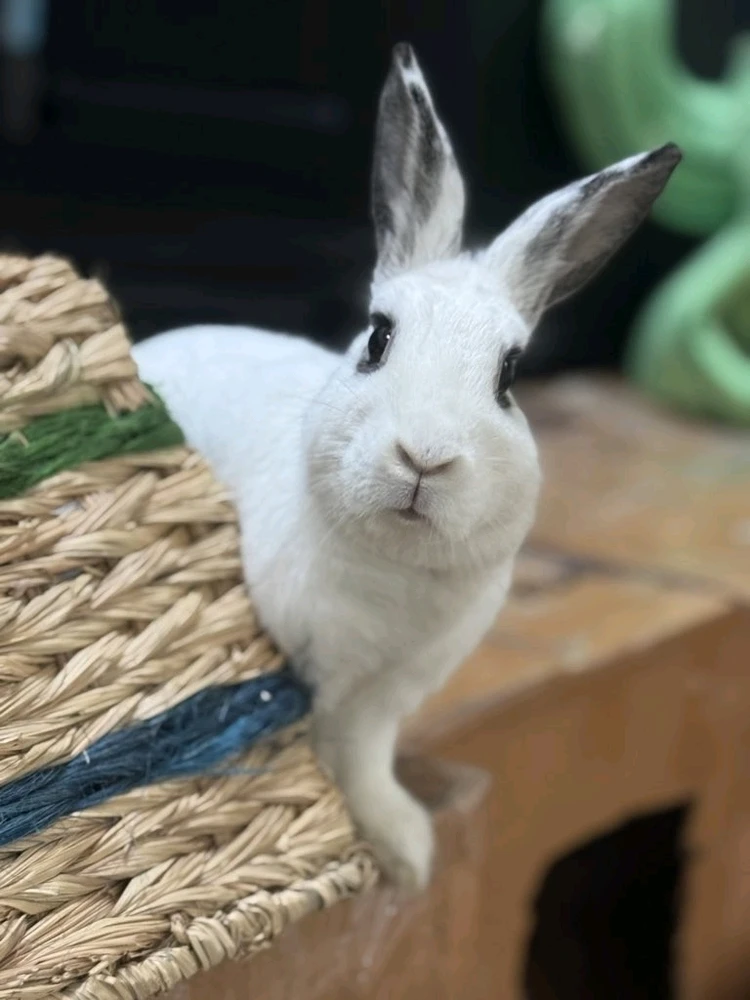 GIF uploaded by Jack