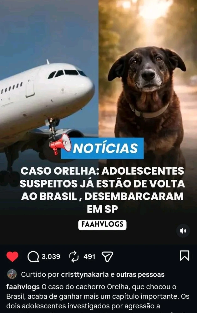 GIF enviado por Natália
