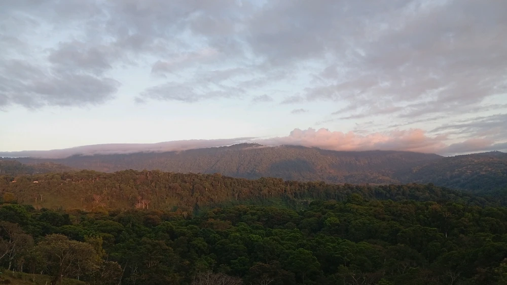 GIF subido por Hermes