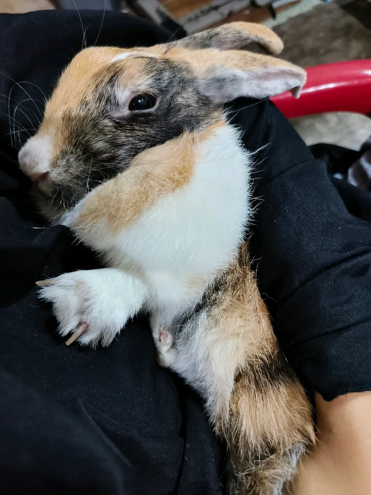 GIF uploaded by shortgirl