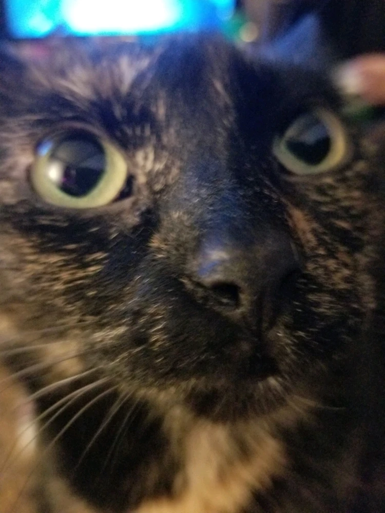 GIF uploaded by Vanessa