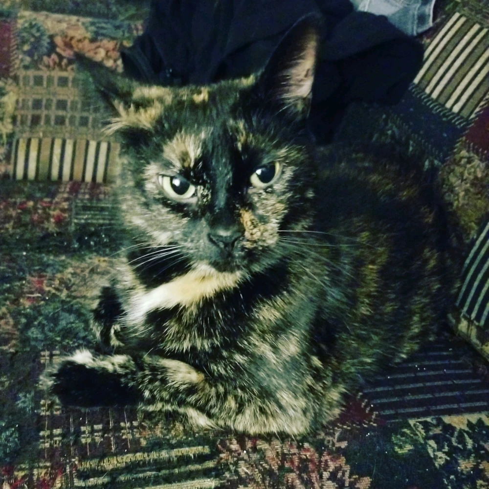 GIF ajouté par Vanessa