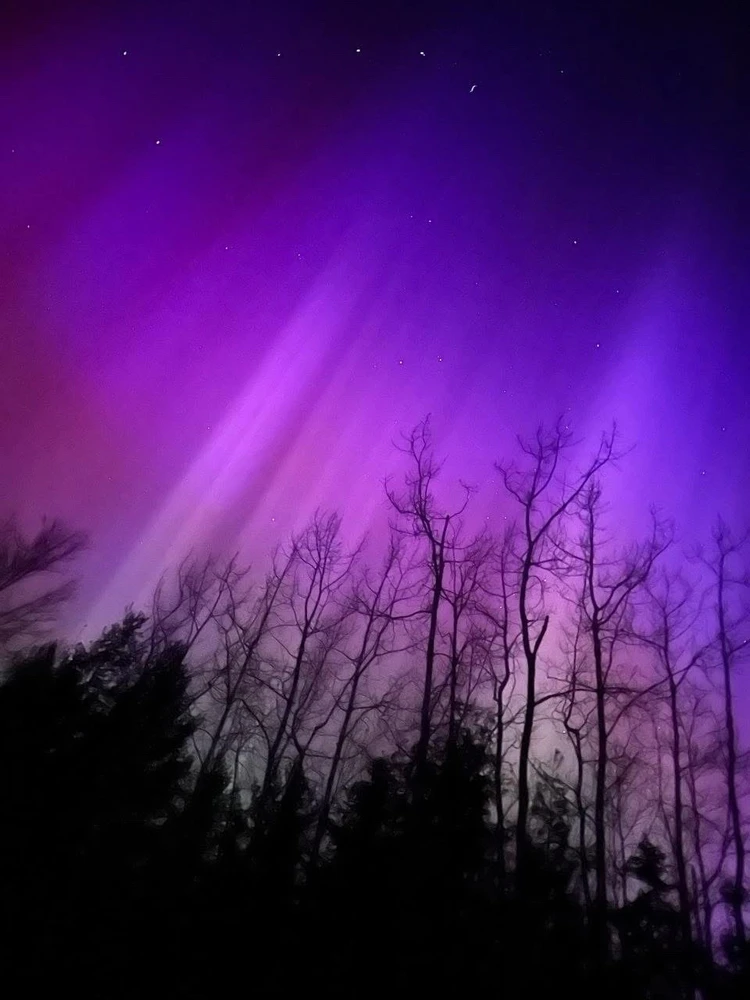 GIF diunggah dening Amber