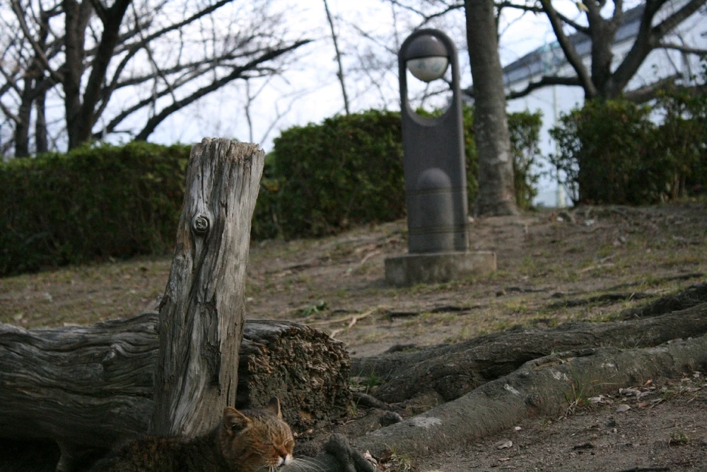 LewisがアップロードしたGIF