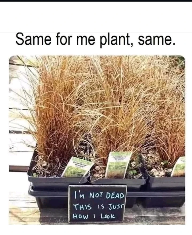 GIF uploaded by Nat RB