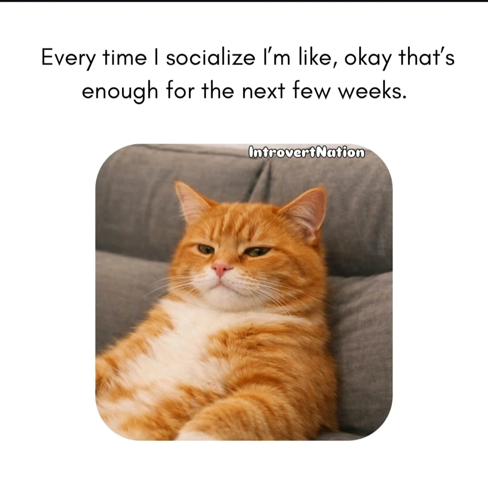 GIF uploaded by Nat RB