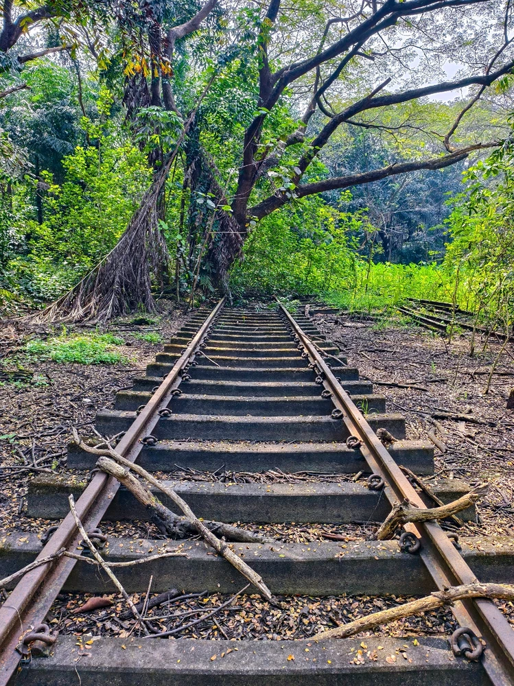 Image uploaded by Nikunjpatel8519