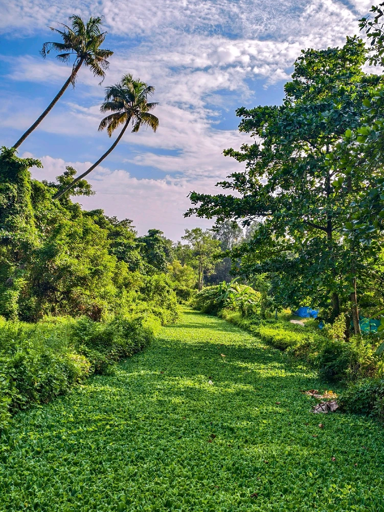 Image uploaded by Nikunjpatel8519