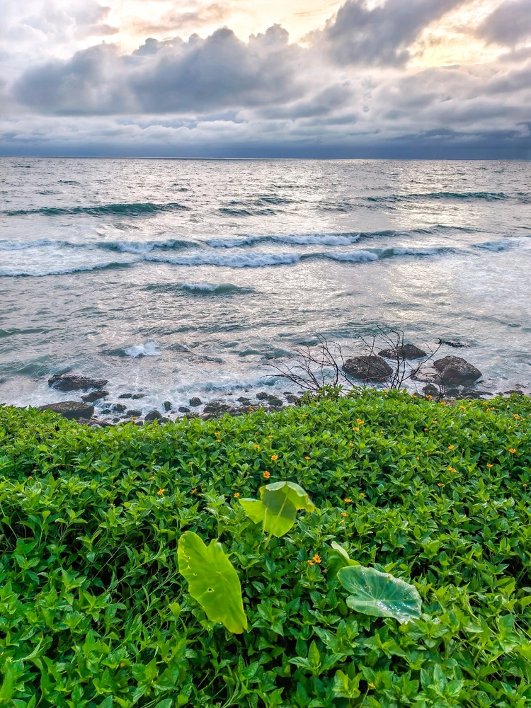 Image uploaded by Nikunjpatel8519