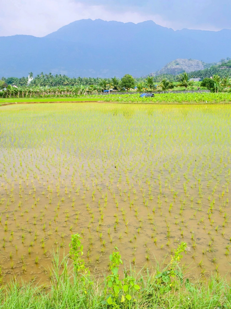 Image uploaded by Nikunjpatel8519