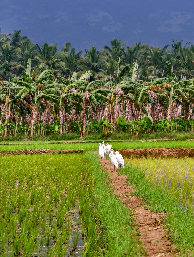 Image uploaded by Nikunjpatel8519