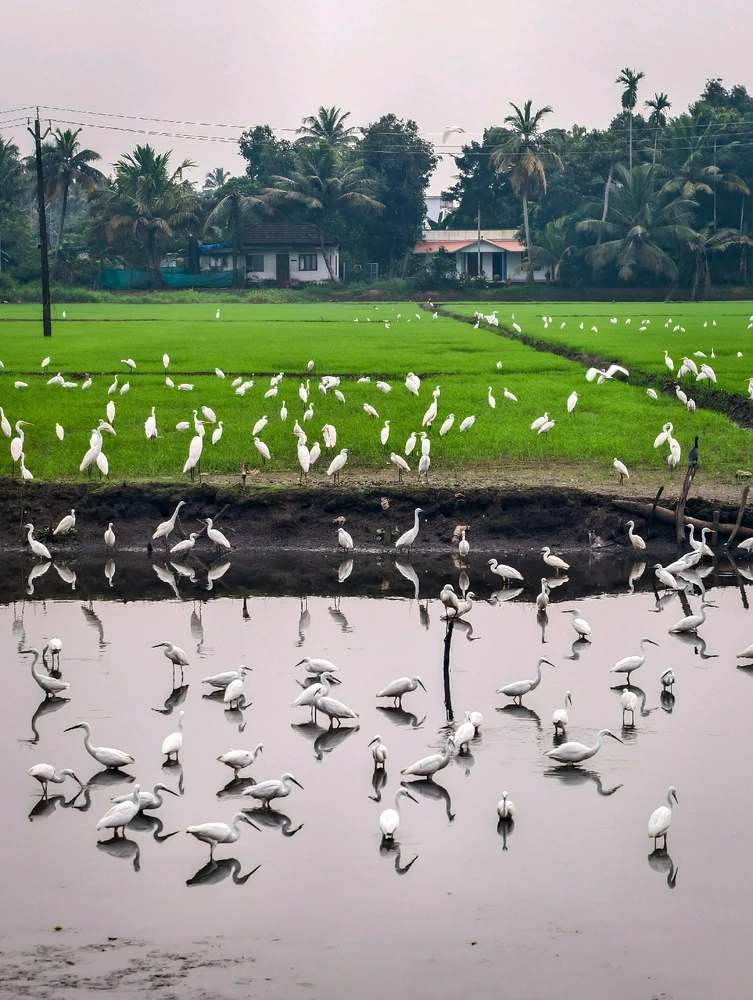 Image uploaded by Nikunjpatel8519