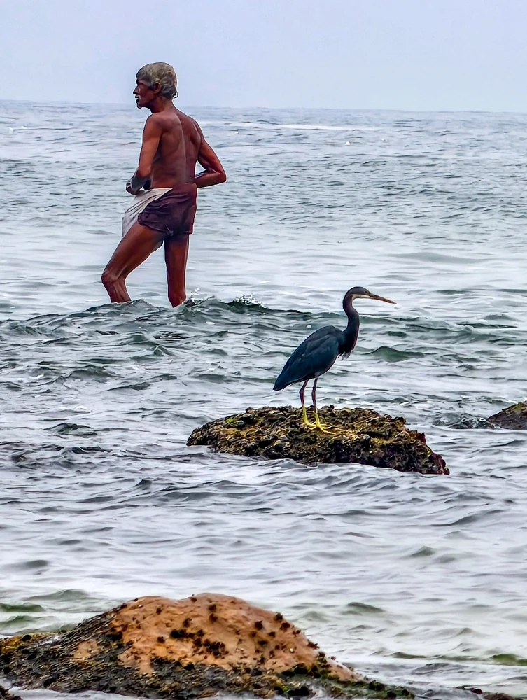 Image uploaded by Nikunjpatel8519