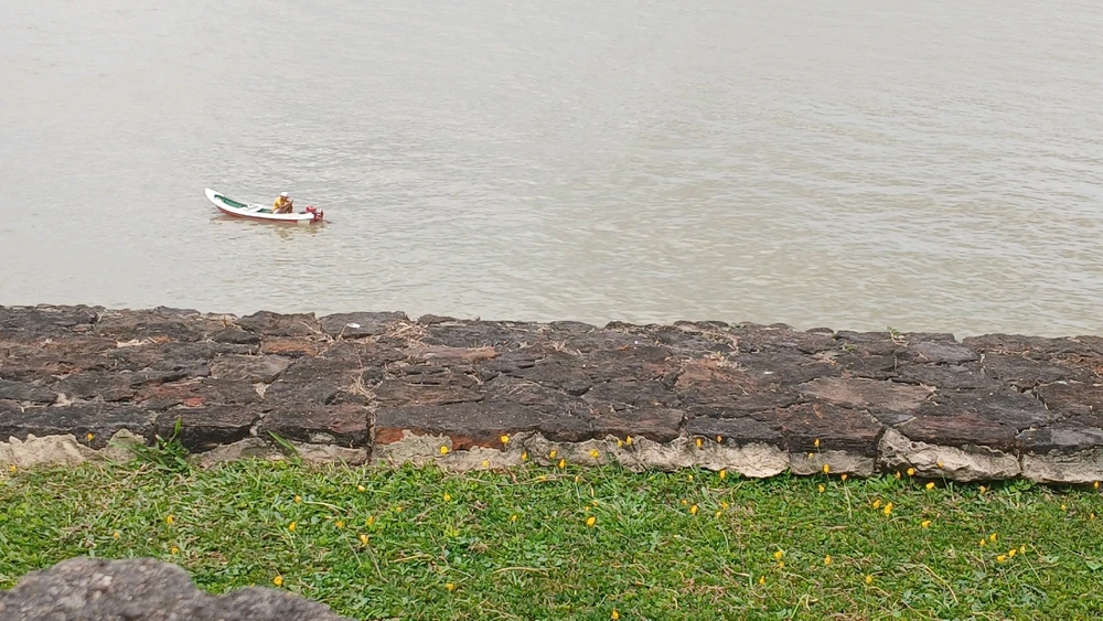 Imagem enviada por Bee