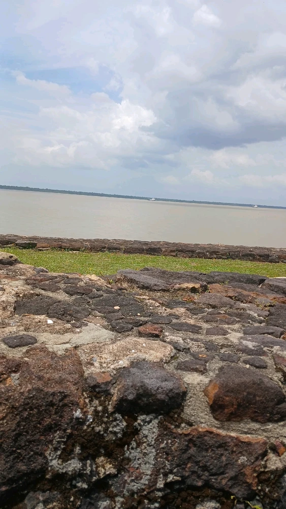 Imagem enviada por Bee