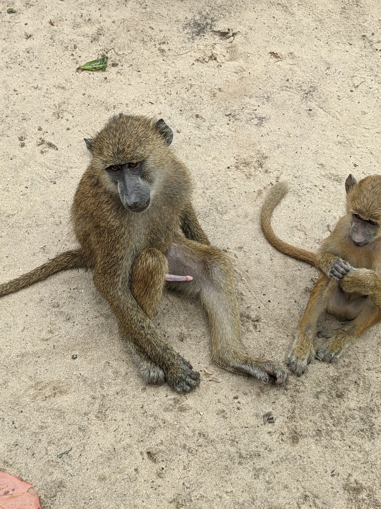 Image uploaded by Esterose