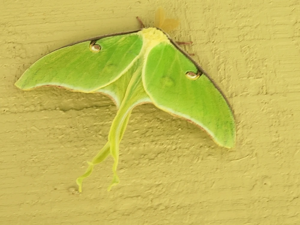 GIF uploaded by Mike