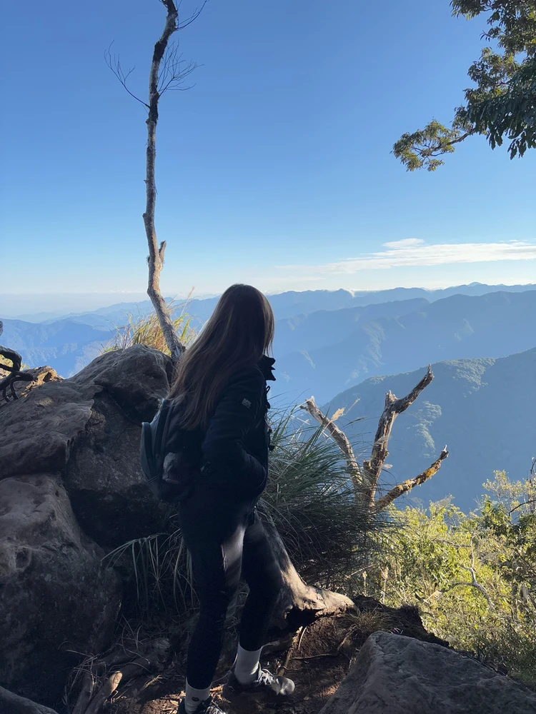 Image uploaded by Hades