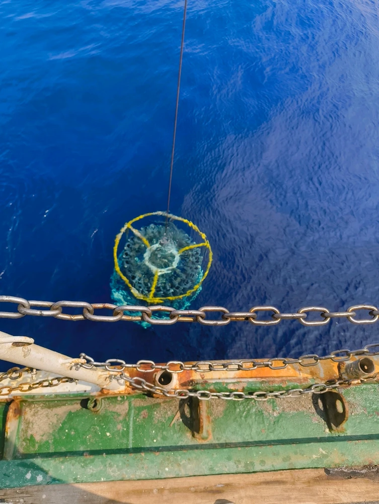 Image uploaded by Abhishek K Anilkumar