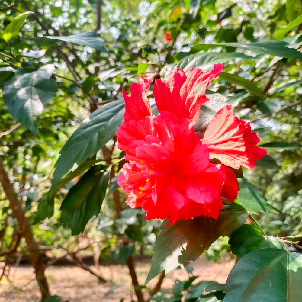 GIF uploaded by Bharath