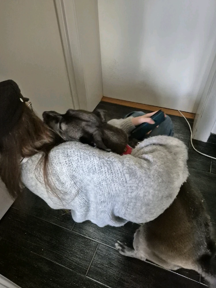 Image uploaded by Tori / Viktoriia