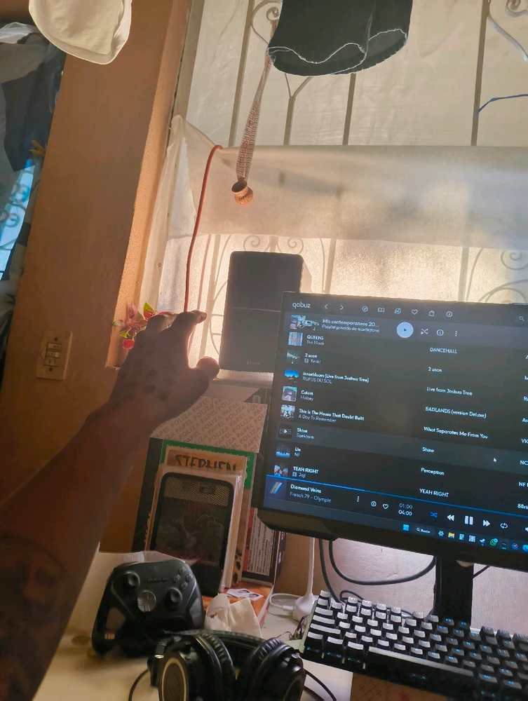 Image uploaded by Martin