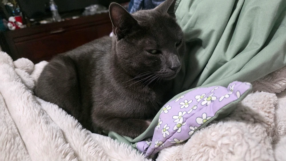 Image uploaded by Stephanie Gofman