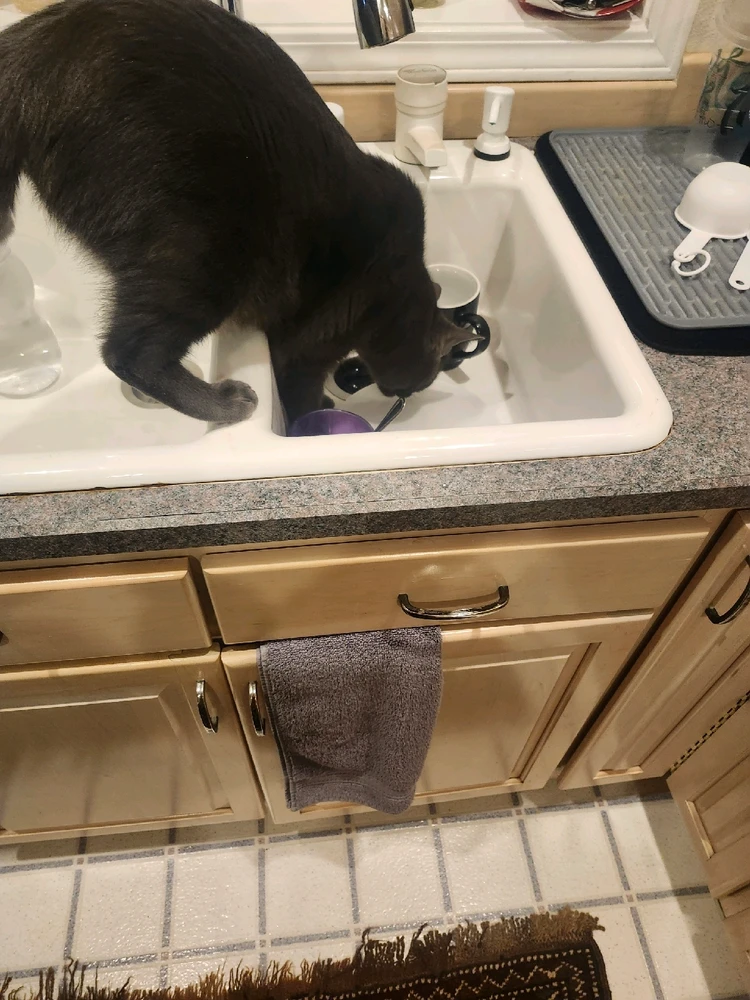 Image uploaded by Stephanie Gofman