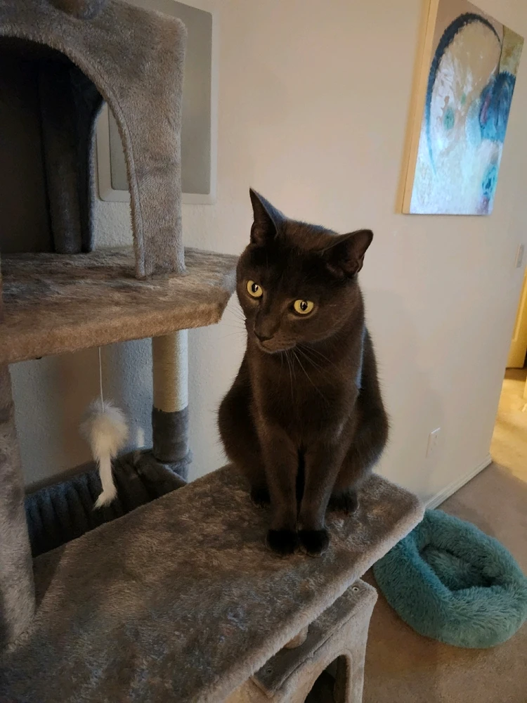 Image uploaded by Stephanie Gofman