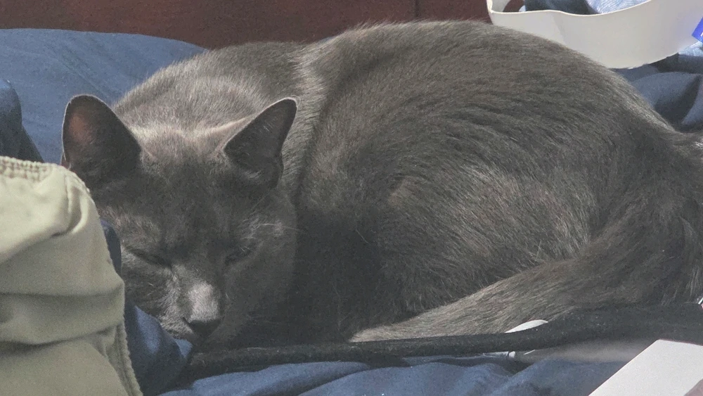 Image uploaded by Stephanie Gofman