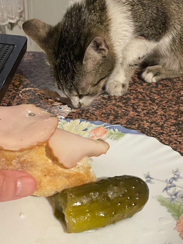 GIF dodany przez Kamil