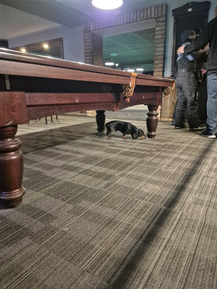 Image uploaded by Joe