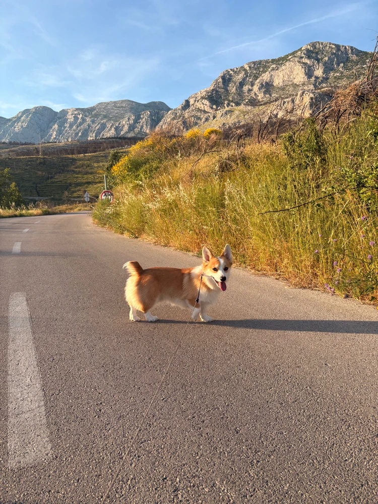 GIF učitao/la Jagna