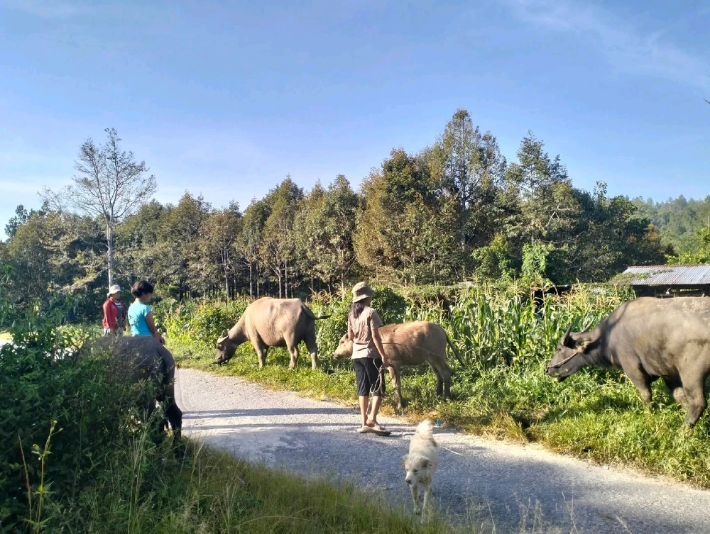 GIF diunggah oleh Utet