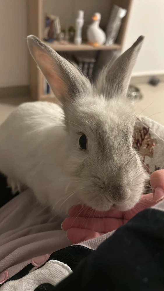 Image uploaded by Yaara