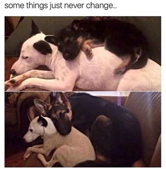 GIF uploaded by Andrei